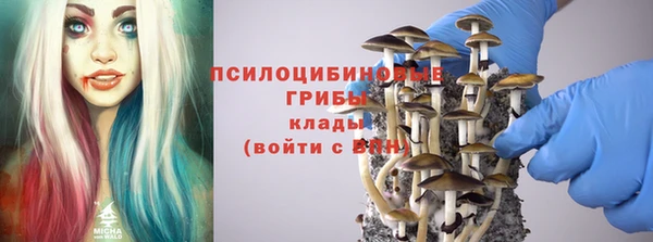 МДПВ Арсеньев