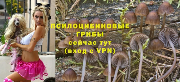 mdpv Аркадак
