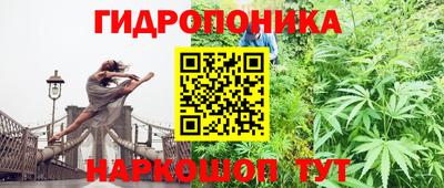 прущий лед Гай