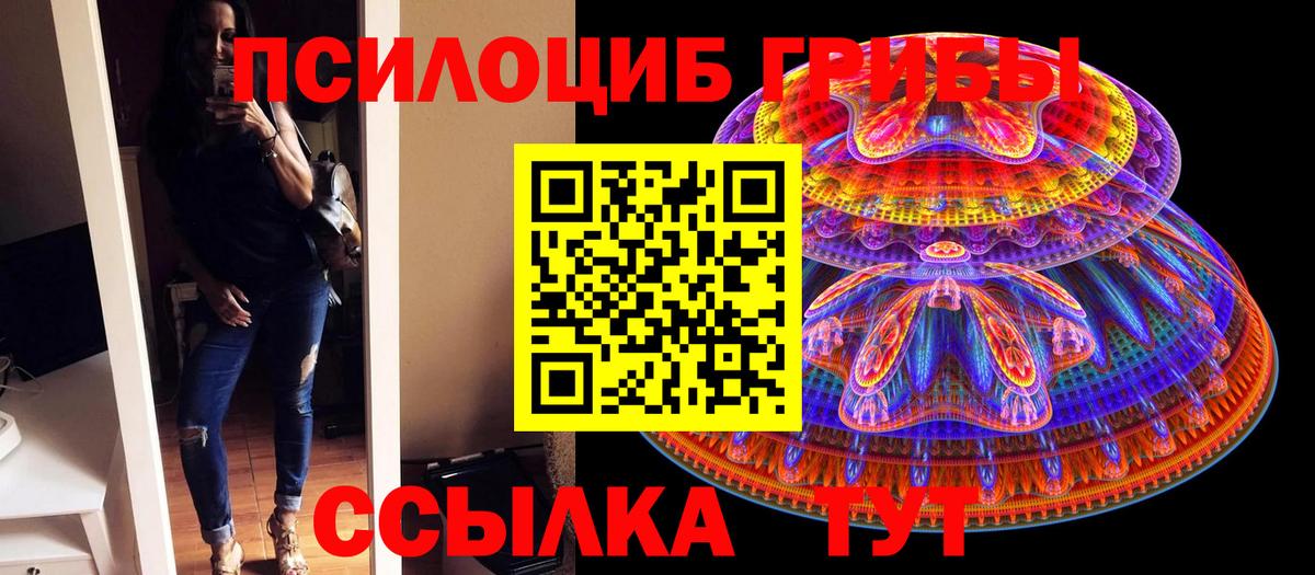 Псилоцибиновые грибы Magic Shrooms  Галлюциногенные грибы MAGIC MUSHROOMS  что такое наркотик  Нижний Тагил  Вход с VPN 