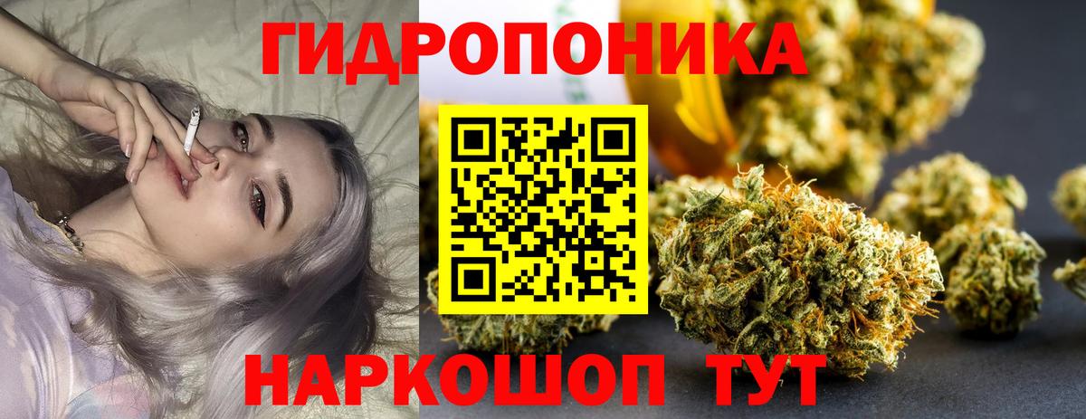 Бошки марихуана сатива Нижний Тагил